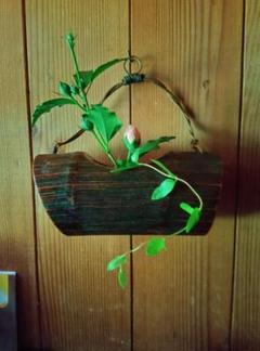 竹釣舟花入