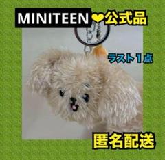 MINITEEN MAGNET PLUSH KEYRING ドギョム DOA - メルカリ