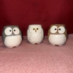 フクロウデザイン陶器カップ3個セット