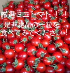 2025年最新】北海道の人気アイテム - メルカリ