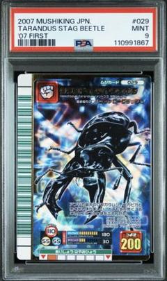 ムシキング　2007ファースト　タランドゥスツヤクワガタ　バッファロークラッシュ ムシキング タランドゥスツヤクワガタ 2007ファースト 189