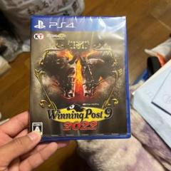 レッドデッドリデンプション2 PS4
