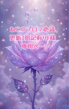 ねこ◎プロフ必読、更新(追記有り)様　専用ページ