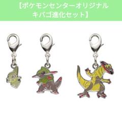 【新品・未開封】ポケモン全国ずかんメタルチャーム　キバゴ進化セット