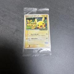2025年最新】ポケパークのピカチュウ 未開封の人気アイテム