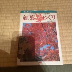 紅葉めぐり 山と溪谷社