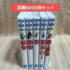 小学館の図鑑NEO ネオ 5冊セット【DVD無し】 - メルカリ