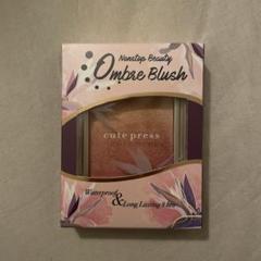 cute press Ombre Blush 5gのサムネイル