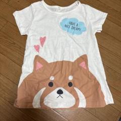 Tシャツ　150 女の子