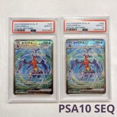 【PSA10連番】ガブリアス SAR GARCHOMP pokemon PSA10連番】ガブリアス SAR GARCHOMP pokemon シロナの