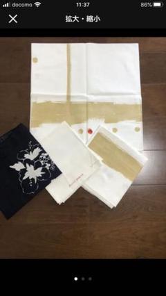 パラスパレス風呂敷2枚