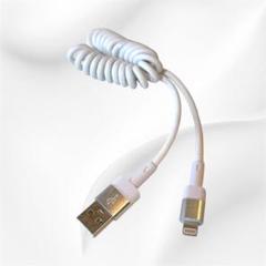USB-C ライトニングケーブル タイプC iPhone充電ケーブル ホワイト