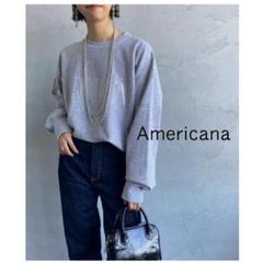 2025年最新】AMERICANA カラー：グレイ系 トレーナー