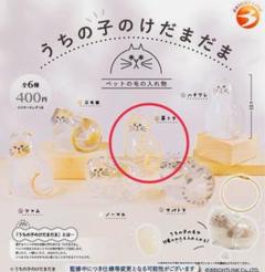 正規品　うちの子のけだまだま　茶トラ①