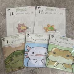 一番くじ　爬虫類&両生類　I賞 H賞セット ②