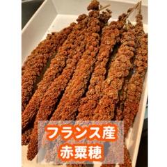赤粟穂（フランス産）300g（鳥の餌用です） - メルカリ