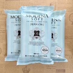 【3個】パジコ 樹脂粘土 モデナソフト 150g 白