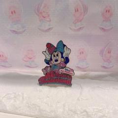 ディズニー　ミニー　ファンダーランド　パルパルーザ　ピンバッジ　♡