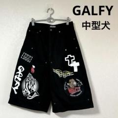 GALFY ガルフィー カラフルテクノパンツ ブラック　中型犬 GALFY (ガルフィー) カラフルテクノパンツ BLACK / ロック
