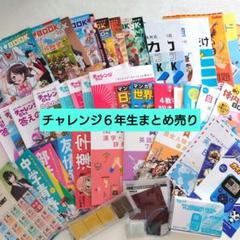 2025年最新】進研ゼミ小学講座チャレンジ6年生未来発見bookの