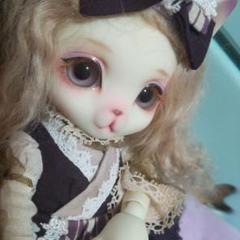 Dear Mine Doll 猫耳ドール 黒紫ドレス 人形 韓国