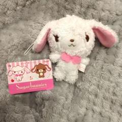 2025年最新】シュガーバニーズ ぬいぐるみ しろうさの人気