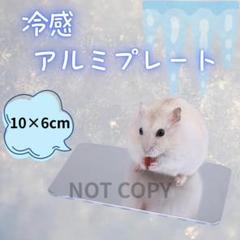 ひんやりアルミプレート ハムスター 冷却プレート 冷感 ペット用 10×6cmのサムネイル