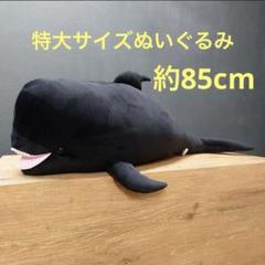 マリンワールド ユキちゃん ぬいぐるみ くじら 抱きまくら 限定