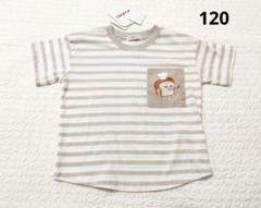 【新品】パンどろぼう 半袖 ボーダー Tシャツ　120