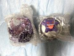 ゲンガー Pokémon ジェムストーンコレクション 光り輝くしんぴのキセキ