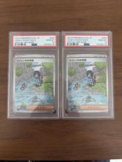 スイレンのお世話 SAR PSA10