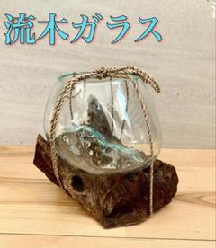 流木ガラス　在庫3個 吹きガラス　アクアリウム　花瓶　メダカ　金魚　ベタ　バリ島