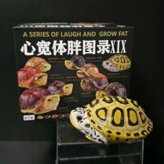動物の惑星】ボールパイソンフルブラックアニマルプラネット入手困難