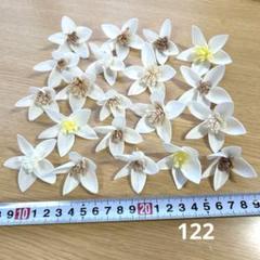 ソラフラワー　122のサムネイル