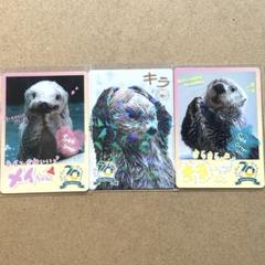 鳥羽水族館】70周年記念 コレクションカード キラメイ（レア