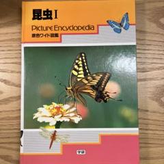 原色ワイド図鑑 昆虫 1 Gakken 学研 原色ワイド図鑑 昆虫 1 Gakken 学研