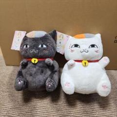 にゃんこ先生ぬいぐるみセット