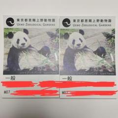 上野動物園 チケット二枚組