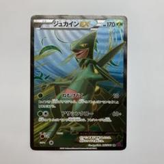 2025年最新】ジュカインex srの人気アイテム - メルカリ
