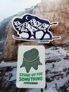 ☆パタゴニア patagonia ステッカー☆切株☆新牛☆2枚セット