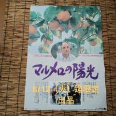 マルメロの陽光 ('92スペイン)  ビクトル・エリセ監督  パンフレット付き 映画「マルメロの陽光」 ゆったりと流れる至福の時間。 | チーじ