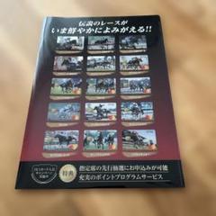 JRA 非売品 クリアファイル セット JRA非売品クリアファイル2点セットの通販 by ぐでたま's