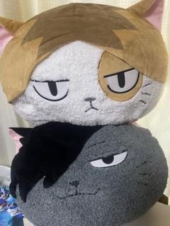 ハイキュー!! アニマルBIGぬいぐるみ2 全2種コンプセット ハイキュー!! アニマルBIGぬいぐるみ2 プライズの情報サイト