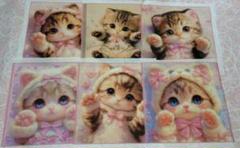 パネル生地　猫　子猫