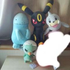 ポケットモンスターヌオー・green・white・ブラッキー