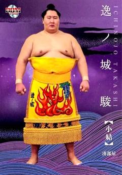 大相撲 逸ノ城の手形色紙と反物 大相撲 逸ノ城の手形色紙と反物