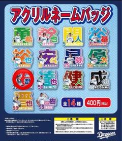 2025年最新】中日ドラゴンズバッジの人気アイテム - メルカリ