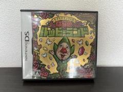 【動作確認済】もぎたてチンクルのばら色ルッピーランド　ニンテンドー　任天堂