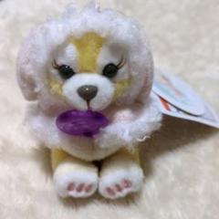 ホワイトウィンタータイムワンダーズ 
ぬいぐるみバッジ 3点セット 東京ディズニーシー「ダッフィー＆フレンズのホワイト