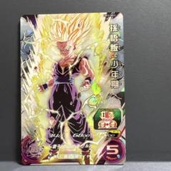 ドラゴンボールカード 孫悟飯・少年期 SEC